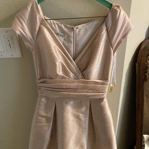 Alfred Sung Pink Bridesmaid Dress Size 6